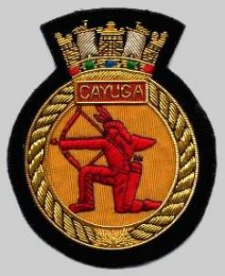 HMCS Cayuga R-04 DDE-214 insignia crest badge patch