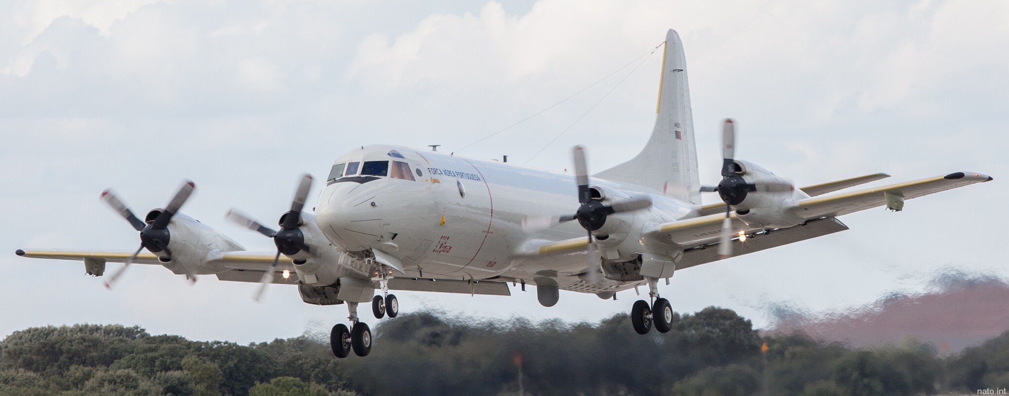 lockheed p-3c orion cup+ portuguese air force forca aerea 601 squadron lobos maritime patrol mpa nato 08