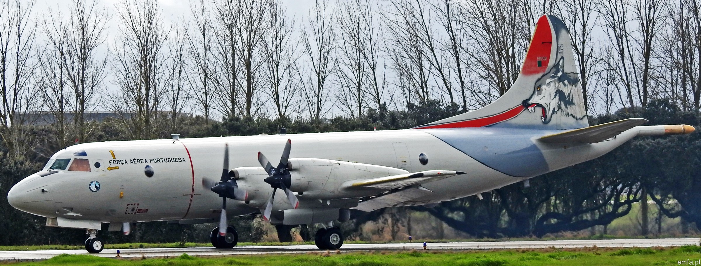 lockheed p-3c orion cup+ portuguese air force forca aerea 601 squadron lobos maritime patrol mpa 19