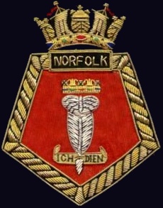 d 21 hms norfolk insignia crest patch badge royal navy