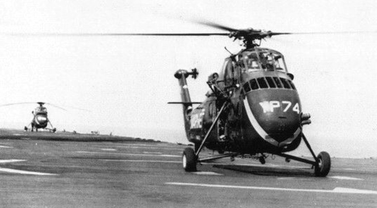 hmm-163 evil eyes marine medium helicopter squadron uh-34d seahorse usmc 03