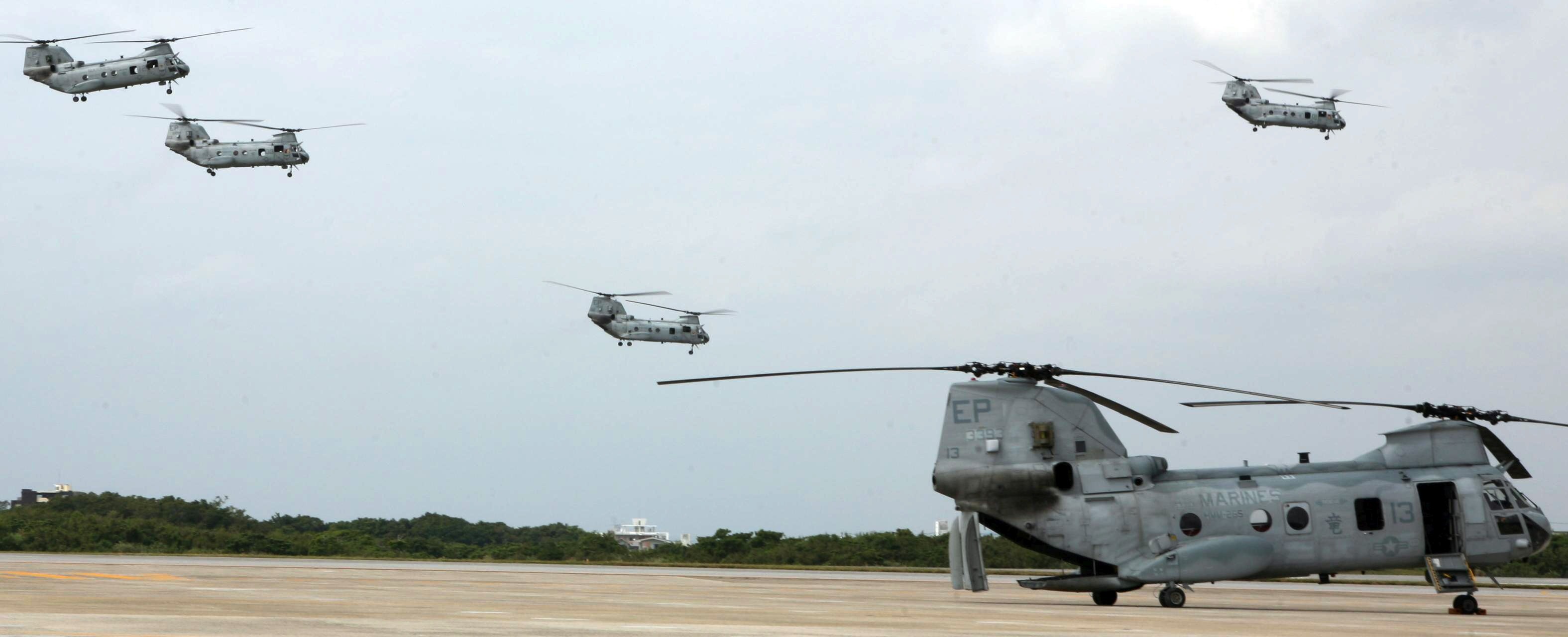 hmm-265 dragons ch-46e sea knight marine medium helicopter squadron usmc 40