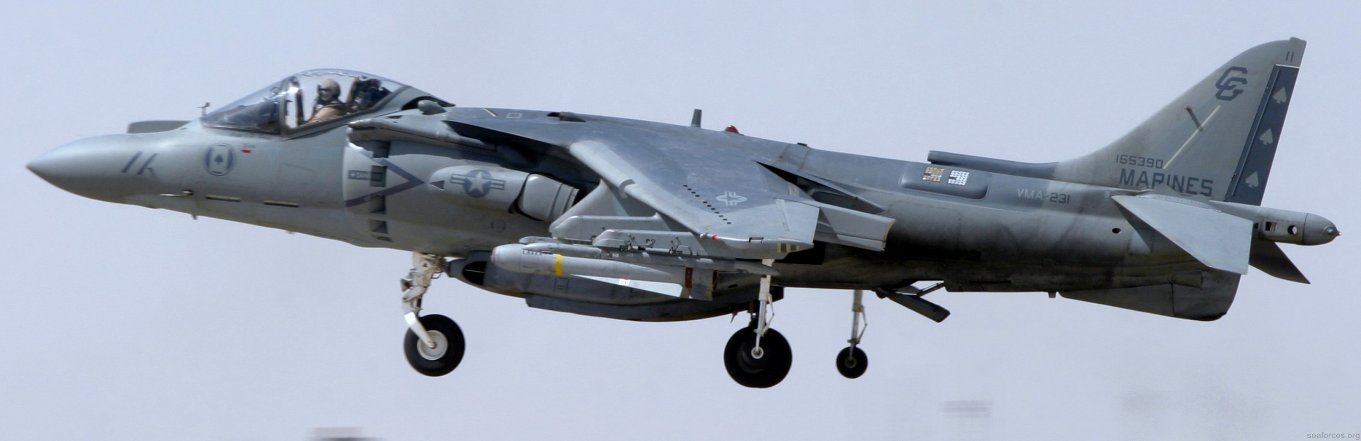 vma-231 ace of spades av-8b harrier marine attack squadron 65