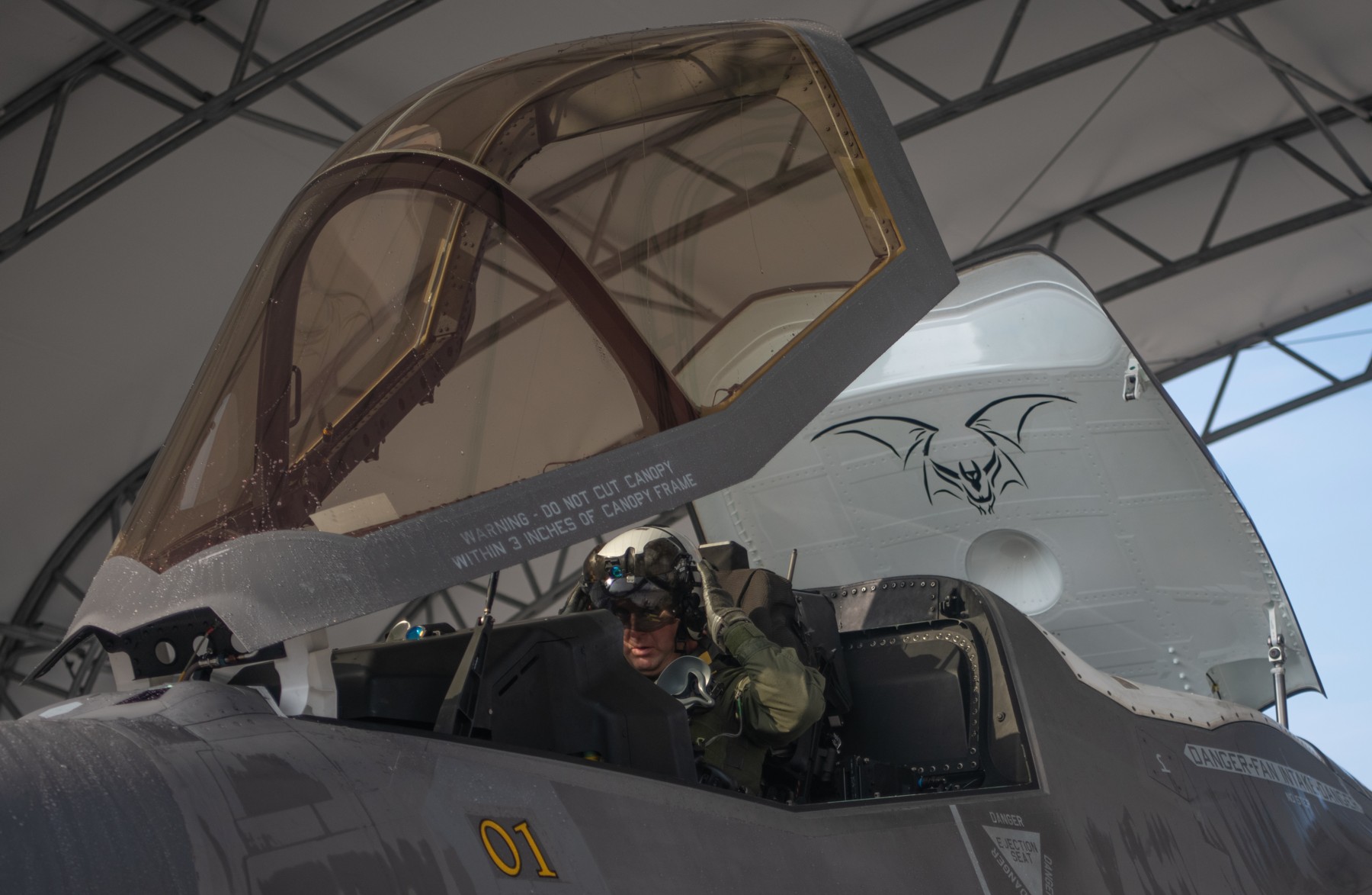 vmfa-242 bats marine fighter attack squadron f-35b lightning ii mcas iwakuni 52