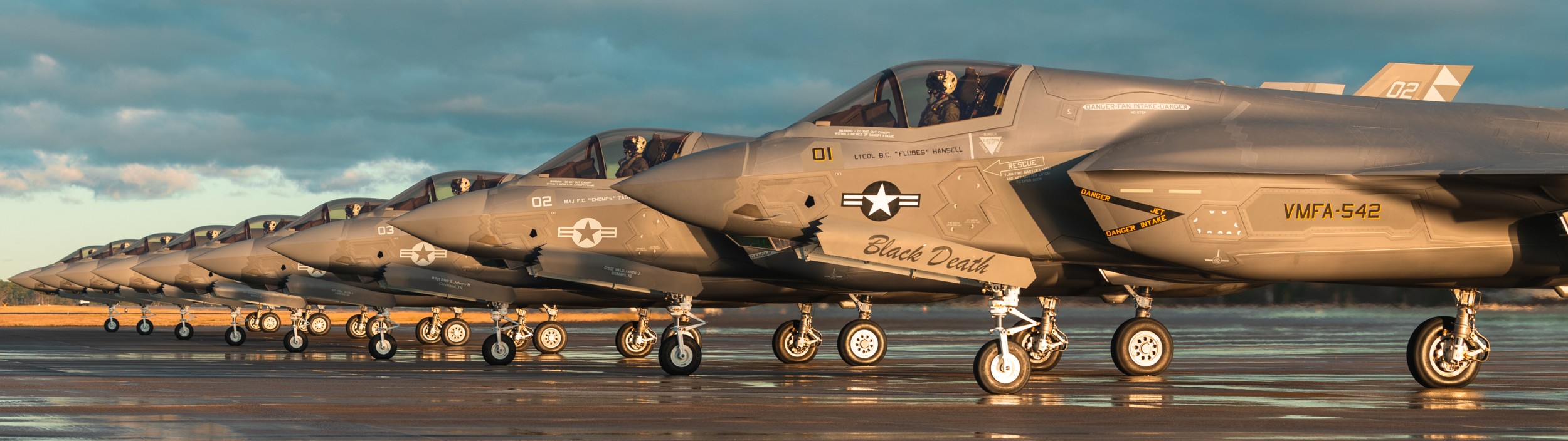 vmfa-542 tigers marine fighter attack squadron f-35b lightning ii mcas cherry point north carolina 29