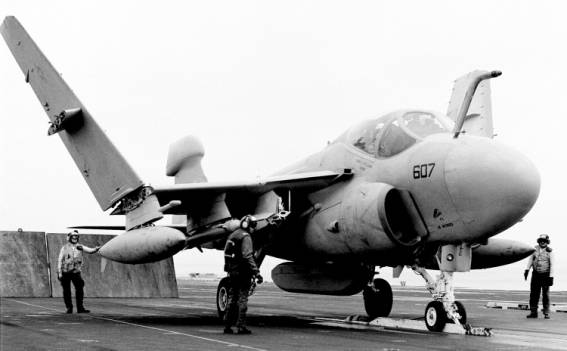 vaq-309 axemen tactical electronic warfare squadron ea-6a electric intruder ea-6b prowler navy reserve