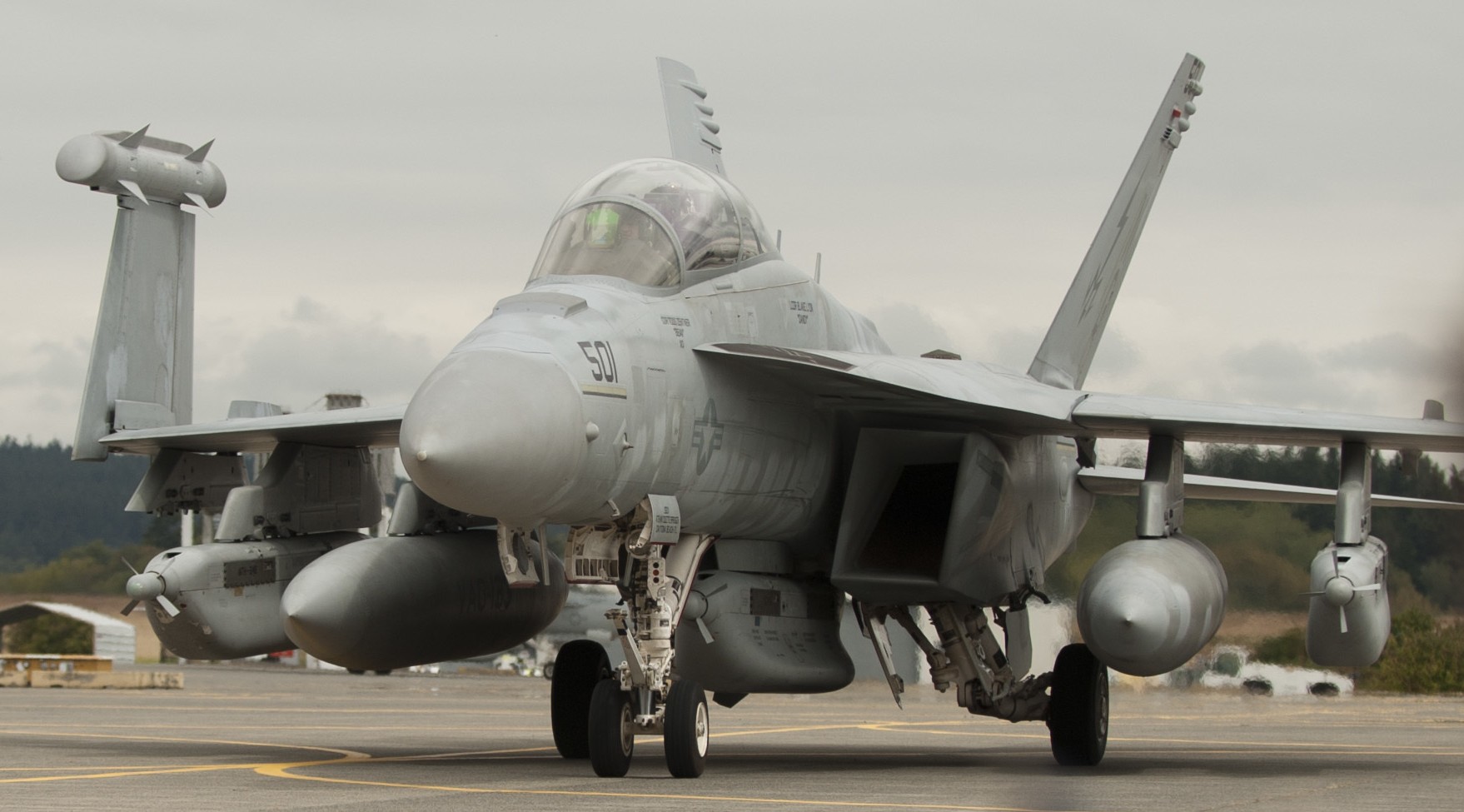 vaq-133 wizards electronic attack squadron vaqron us navy boeing ea-18g growler nas whidbey island 119