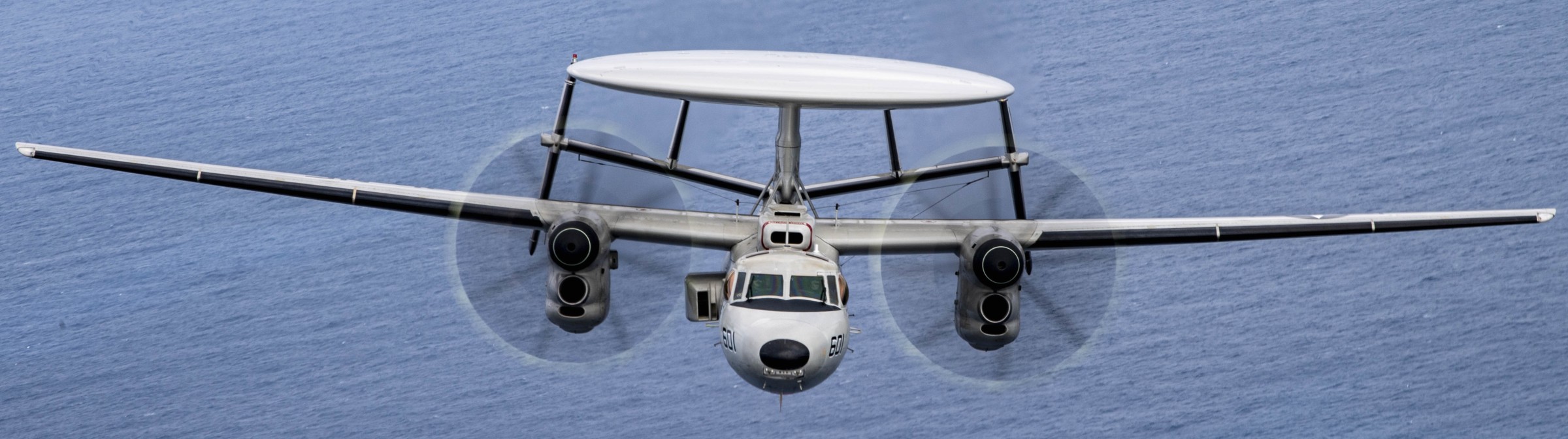 vaw-113 black eagles airborne command control squadron e-2d advanced hawkeye cvw-2 cvn-70 uss carl vinson 138