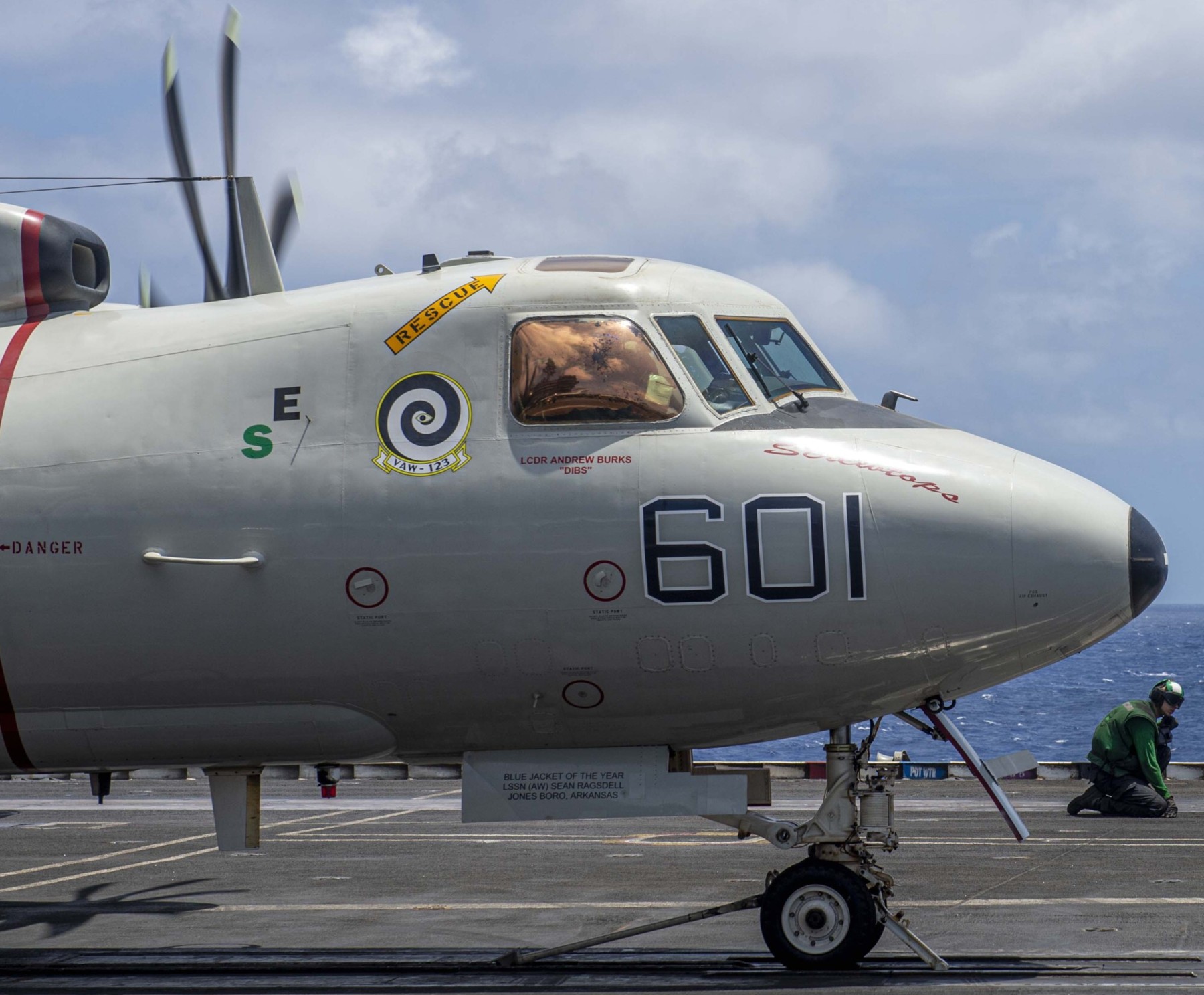 vaw-123 screwtops airborne command and control squadron cvw-3 cvn-69 uss dwight d. eisenhower 114