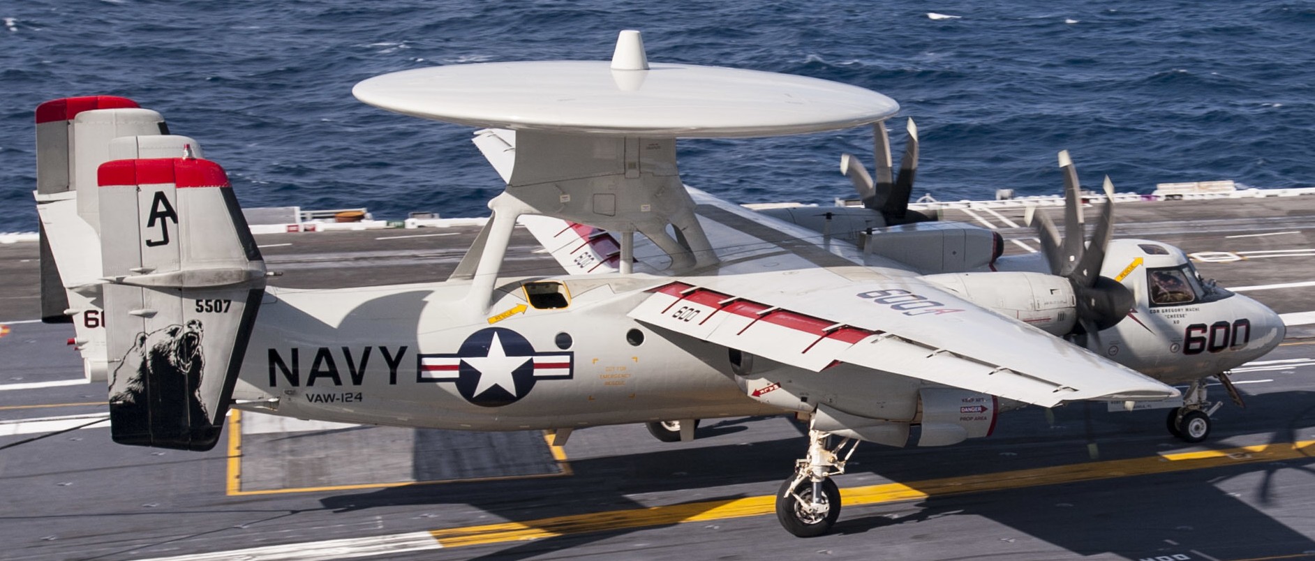 vaw-124 bear aces airborne command control squadron e-2c hawkeye cvn-77 uss george h. w. bush 92