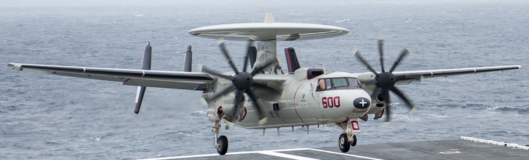 vaw-124 bear aces airborne command control squadron e-2c hawkeye cvn-77 uss george h. w. bush cvw-8 94