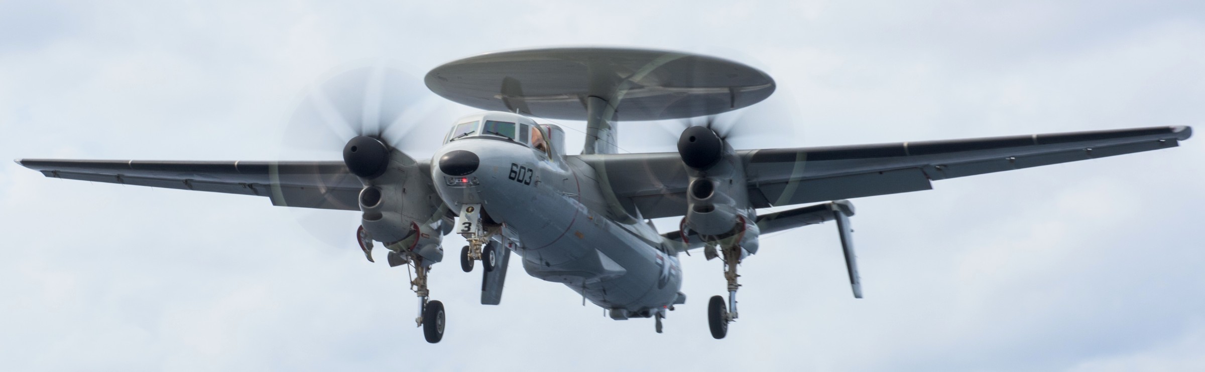 vaw-125 tigertails carrier airborne early warning squadron e-2d advanced hawkeye cvw-5 cvn-76 uss ronald reagan 2017 90