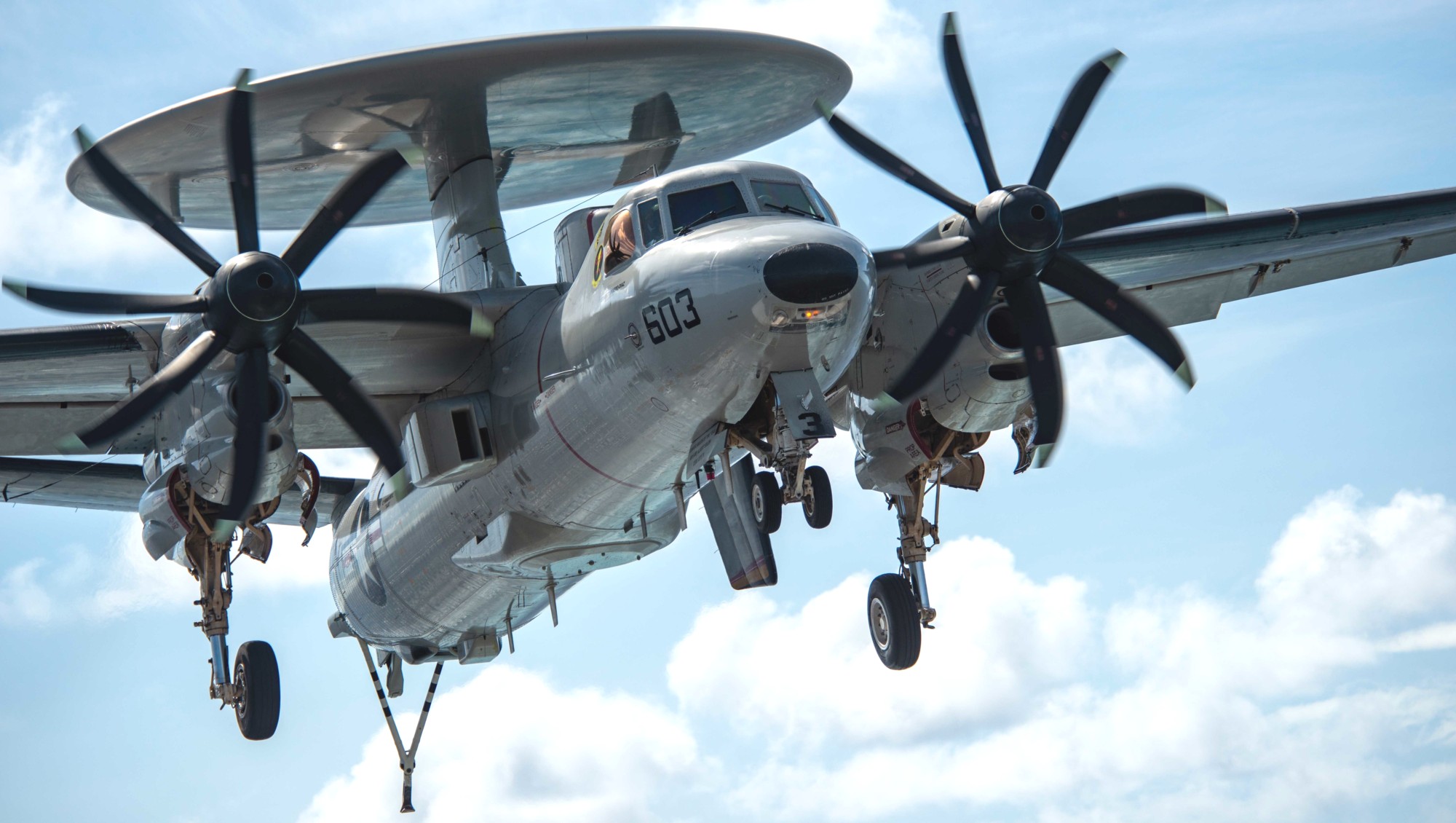 vaw-125 tigertails airborne command control squadron e-2d advanced hawkeye cvw-5 cvn-76 uss ronald reagan 113