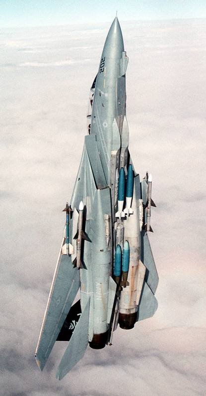 f-14 tomcat armament 