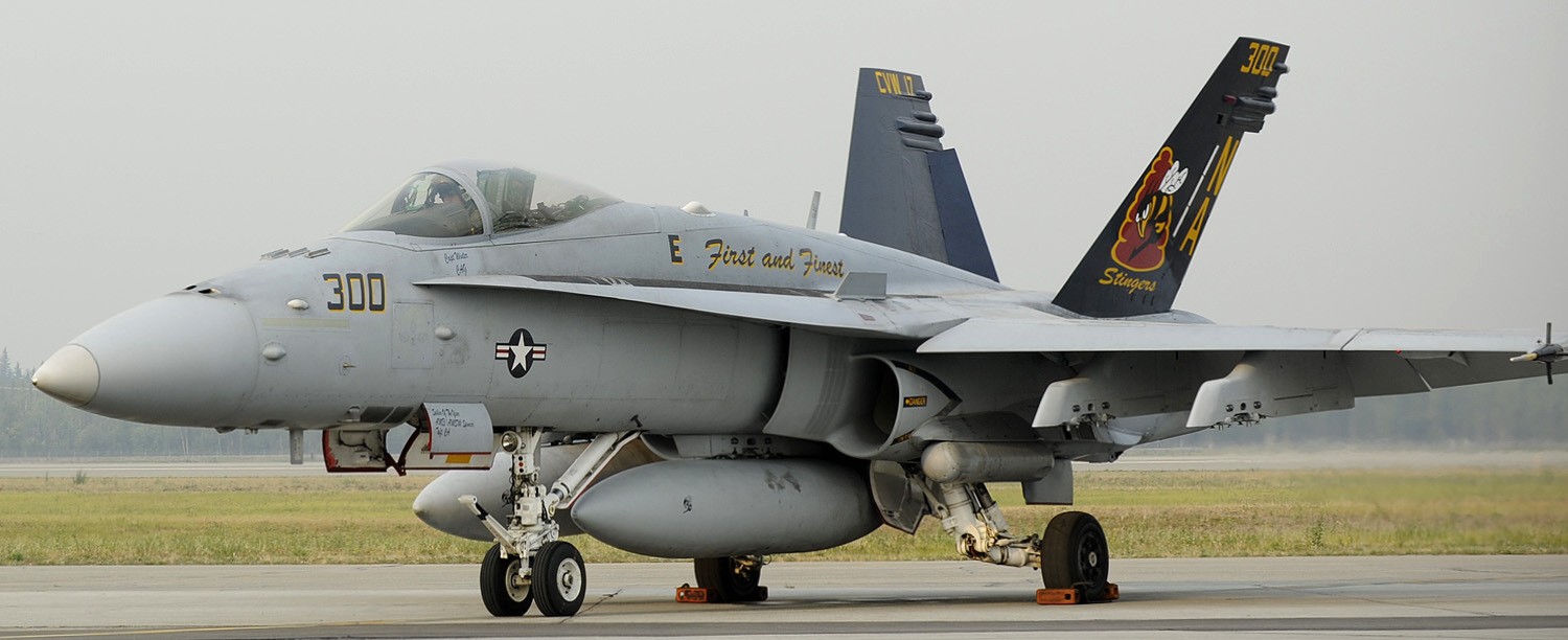 vfa-113 stingers strike fighter squadron f/a-18c hornet eielson afb red flag alaska 119