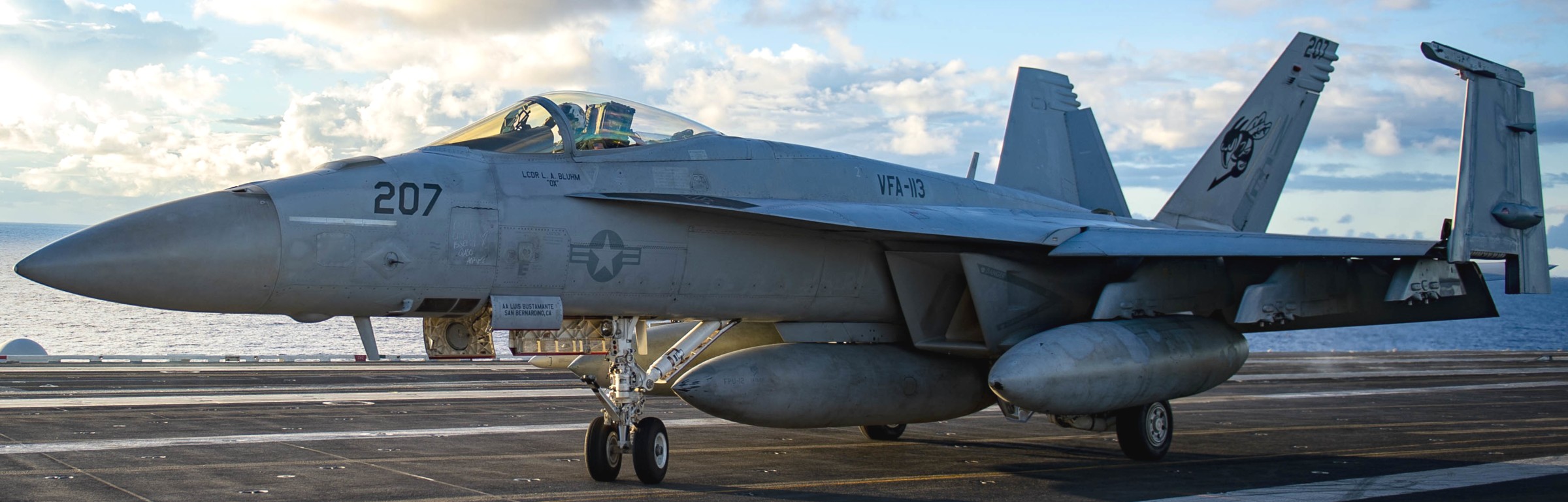 vfa-113 stingers strike fighter squadron f/a-18e super hornet cvw-2 cvn-70 uss carl vinson 153