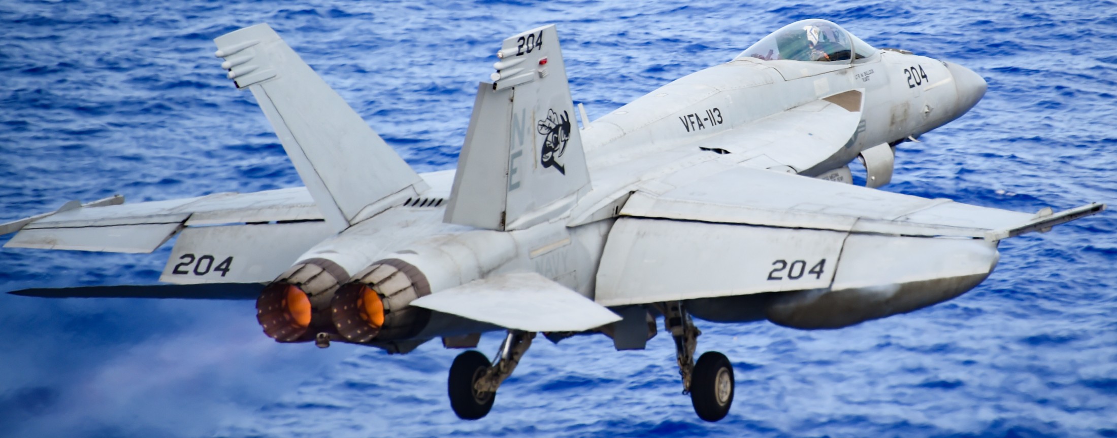 vfa-113 stingers strike fighter squadron f/a-18e super hornet cvw-2 cvn-70 uss carl vinson 169