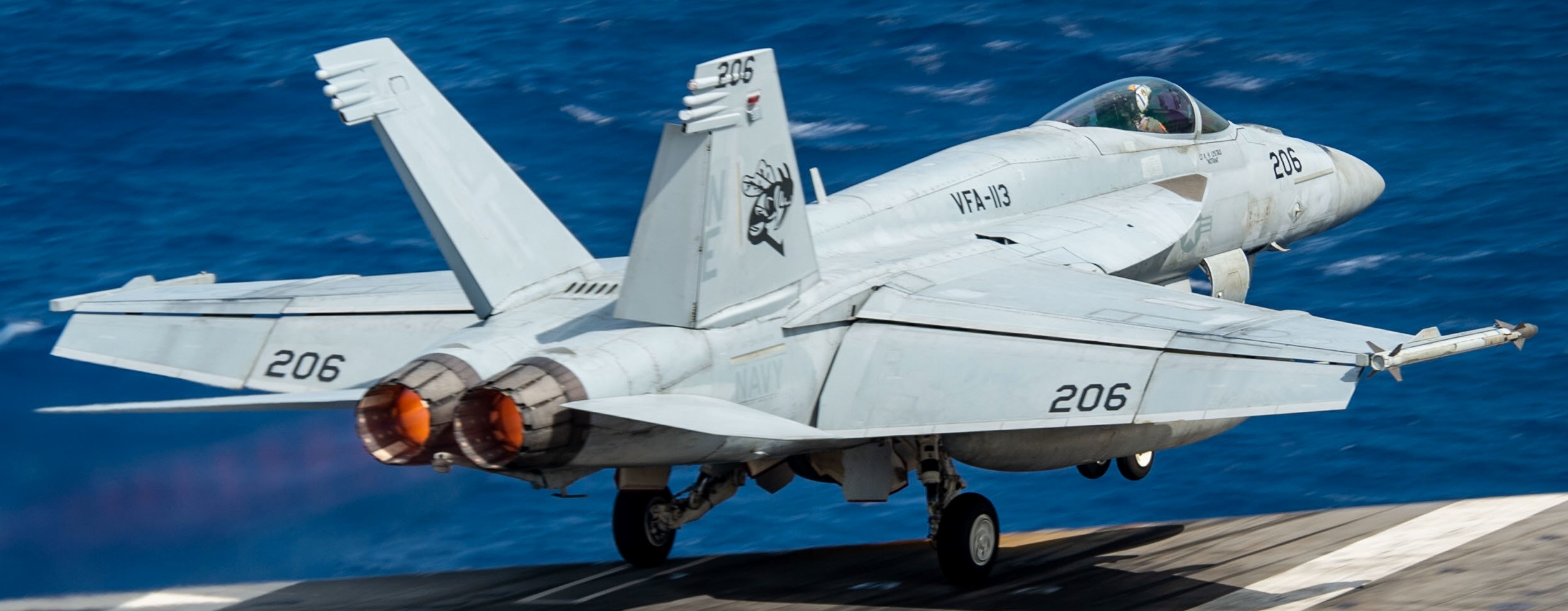 vfa-113 stingers strike fighter squadron f/a-18e super hornet cvw-2 cvn-70 uss carl vinson 174