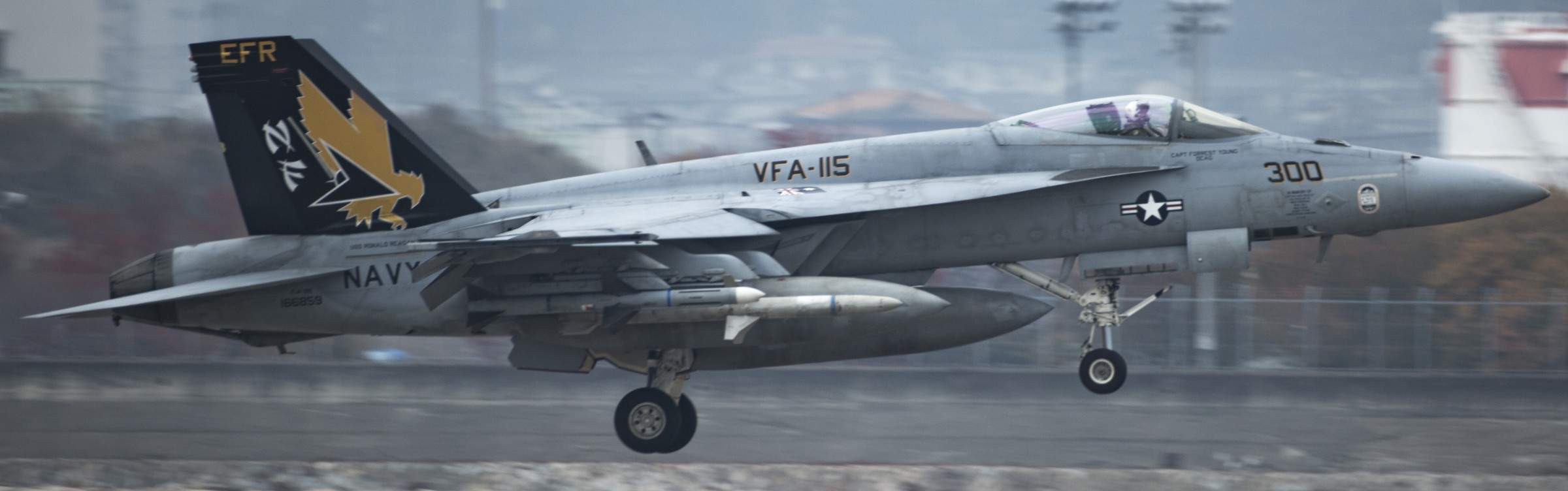 vfa-115 eagles strike fighter squadron f/a-18e super hornet cvw-5 cvn-76 uss ronald reagan mcas iwakuni 100