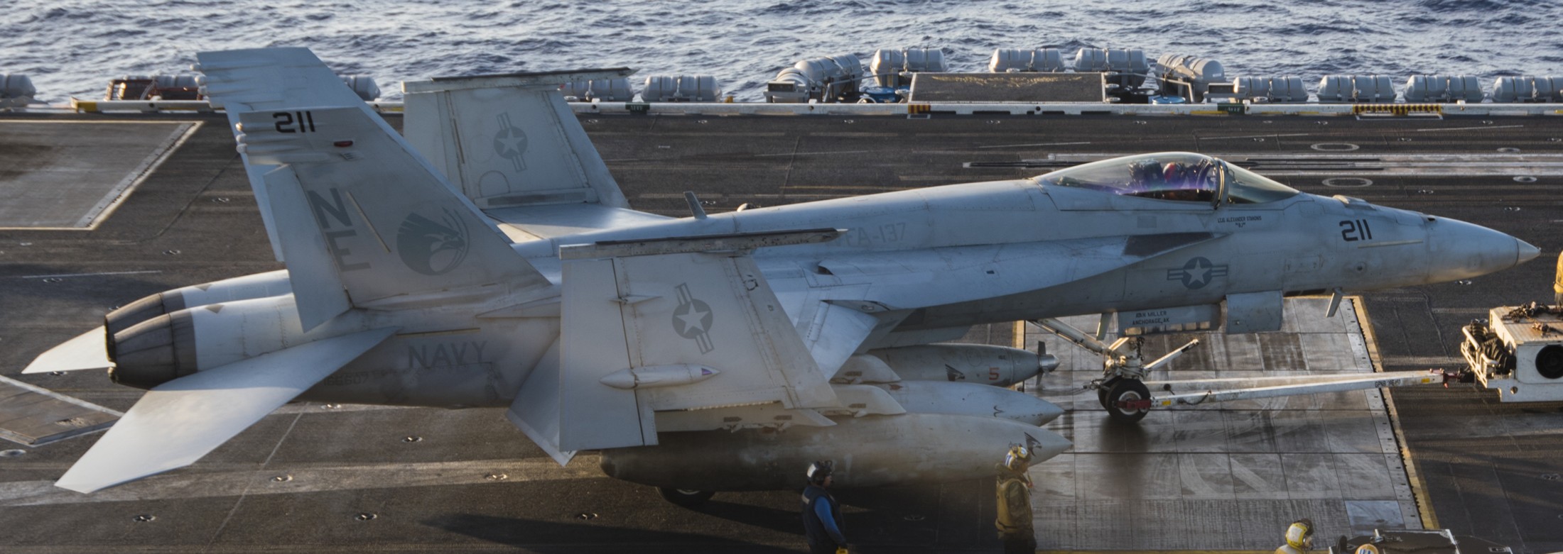 vfa-137 kestrels strike fighter squadron f/a-18e super hornet cvw-2 cvn-70 uss carl vinson 95