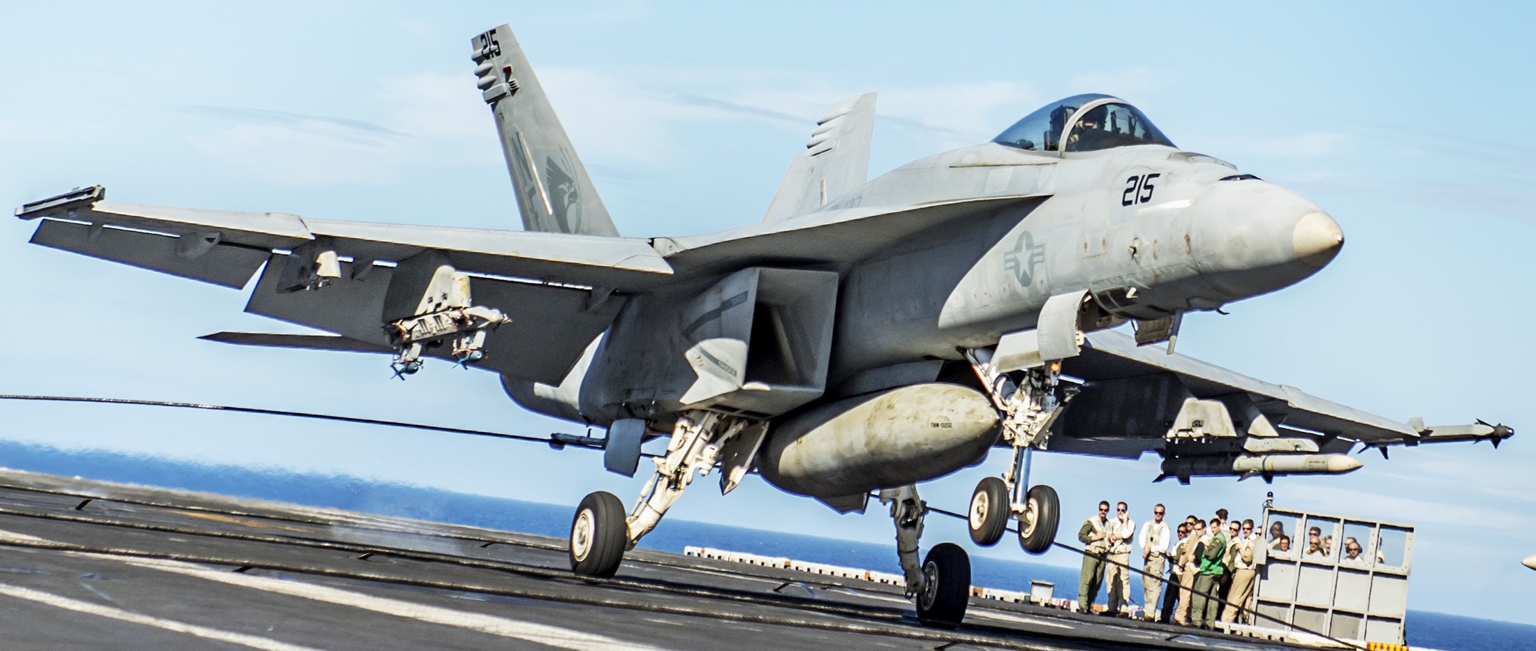 vfa-137 kestrels strike fighter squadron f/a-18e super hornet cvw-2 cvn-70 uss carl vinson 97