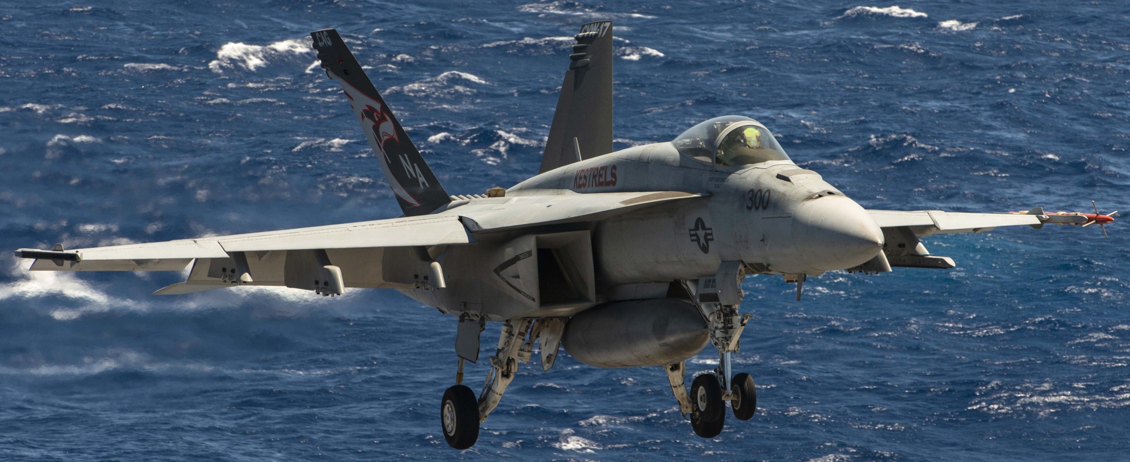 vfa-137 kestrels strike fighter squadron f/a-18e super hornet cvw-17 cvn-68 uss nimitz 102