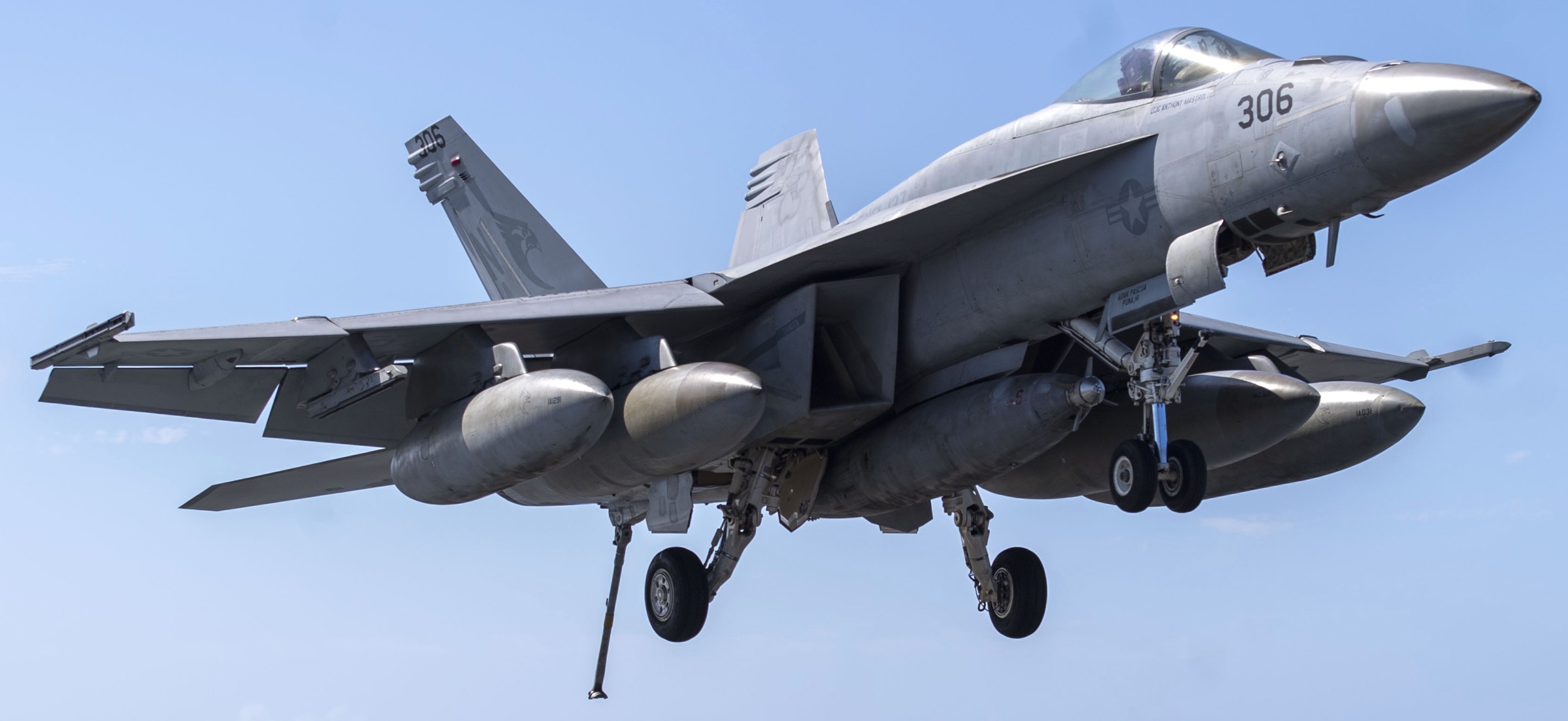 vfa-137 kestrels strike fighter squadron f/a-18e super hornet cvw-17 cvn-68 uss nimitz 160