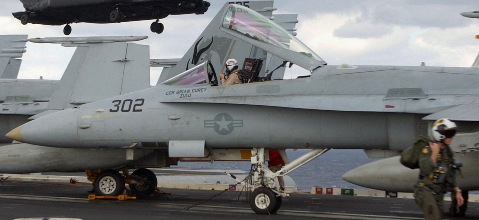 vfa-192 golden dragons f/a-18c hornet strike fighter squadron navy cvw-5 uss kitty hawk cv-63 133