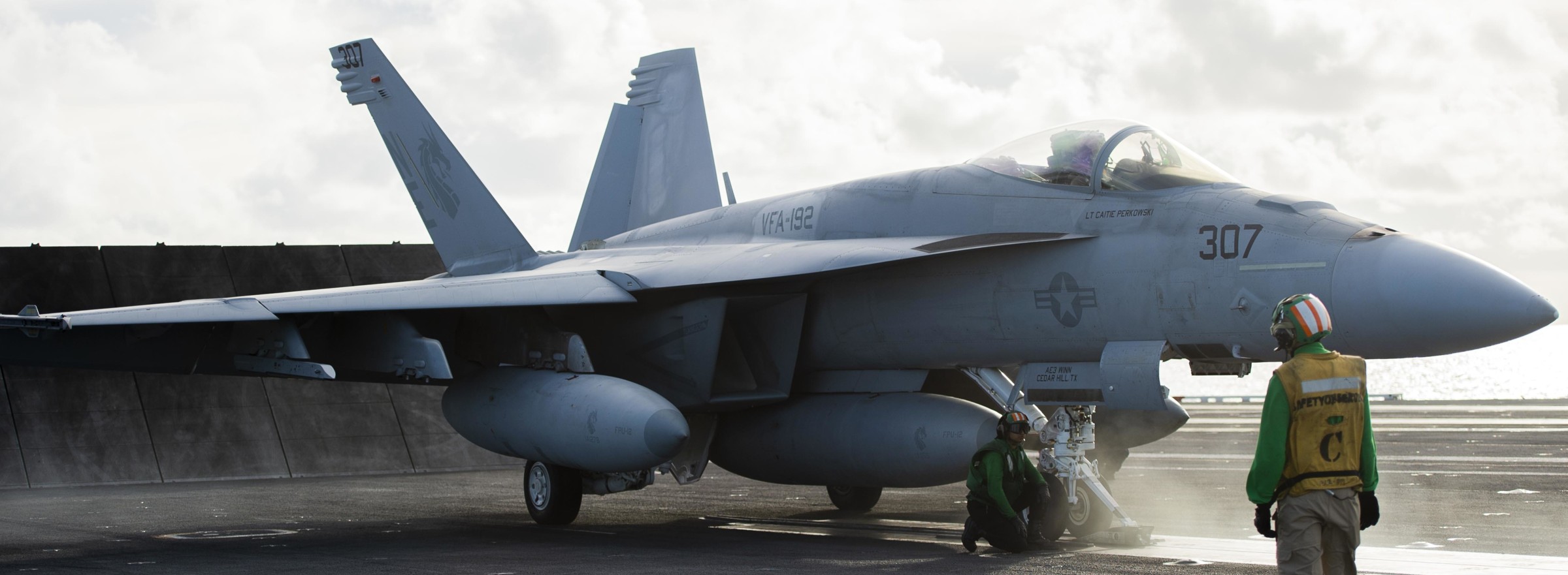 vfa-192 golden dragons f/a-18e super hornet strike fighter squadron navy cvw-2 uss carl vinson cvn-70 151