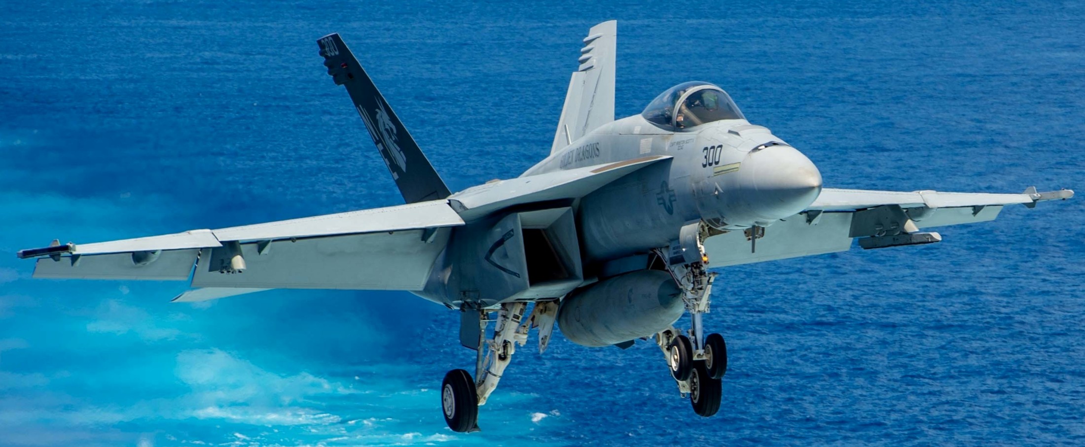 vfa-192 golden dragons f/a-18e super hornet strike fighter squadron navy cvw-2 uss carl vinson cvn-70 172