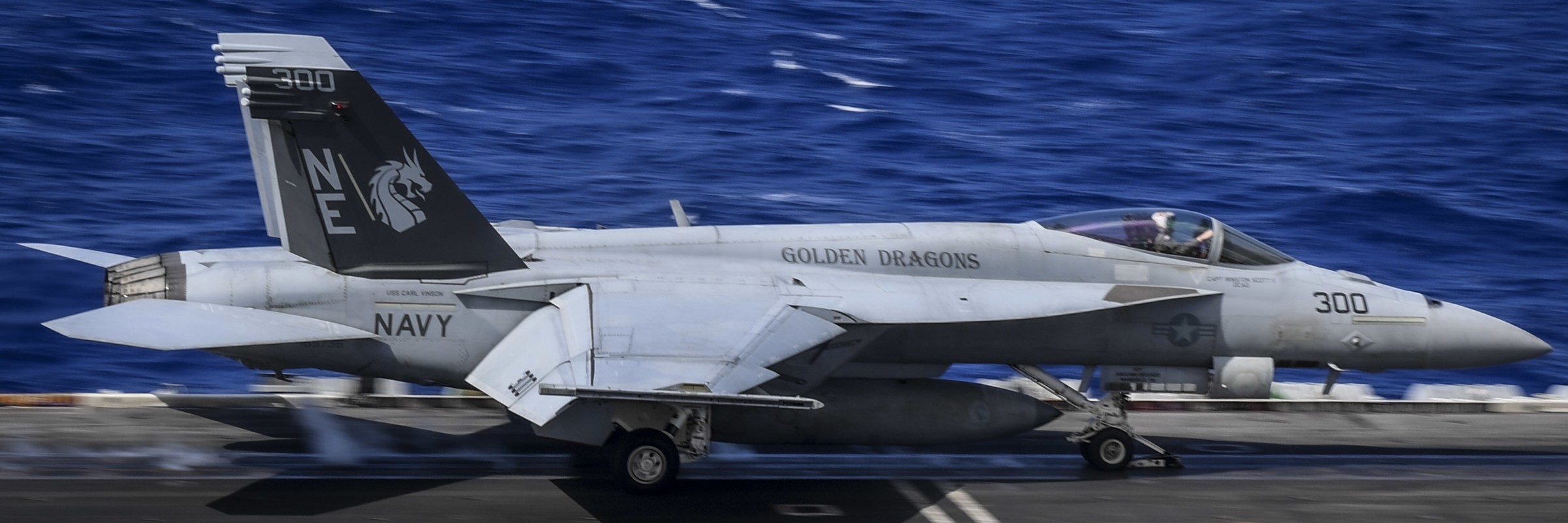 vfa-192 golden dragons f/a-18e super hornet strike fighter squadron navy cvw-2 uss carl vinson cvn-70 179