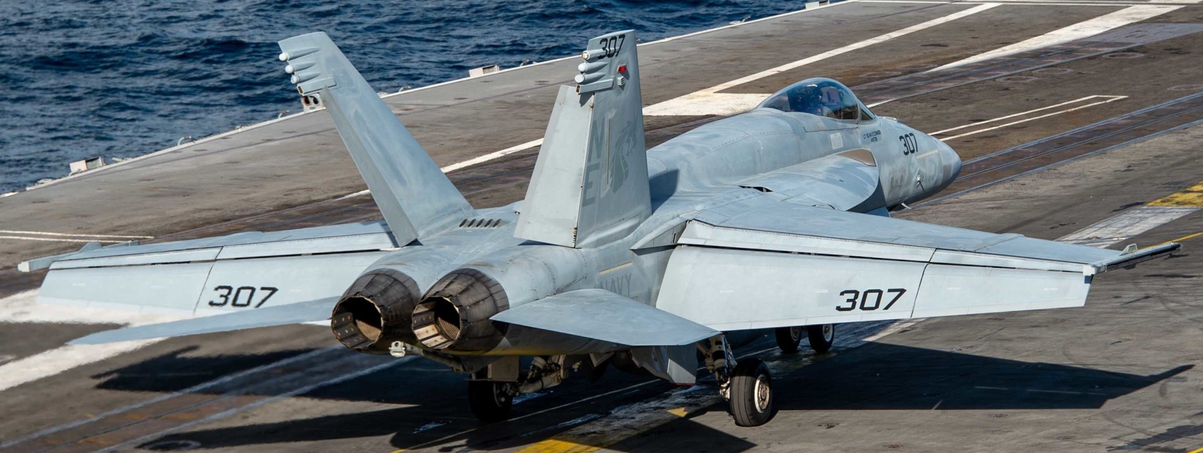 vfa-192 golden dragons f/a-18e super hornet strike fighter squadron navy cvw-2 uss carl vinson cvn-70 195