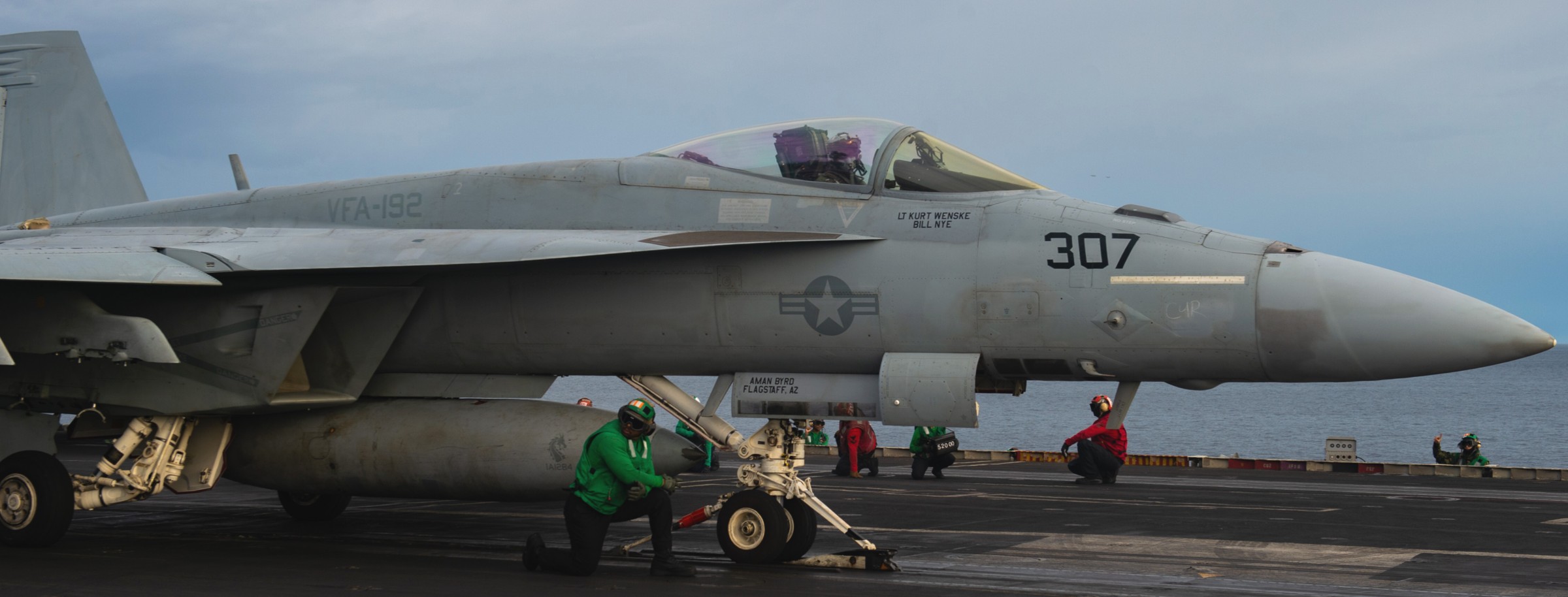 vfa-192 golden dragons f/a-18e super hornet strike fighter squadron navy cvw-2 uss carl vinson cvn-70 219