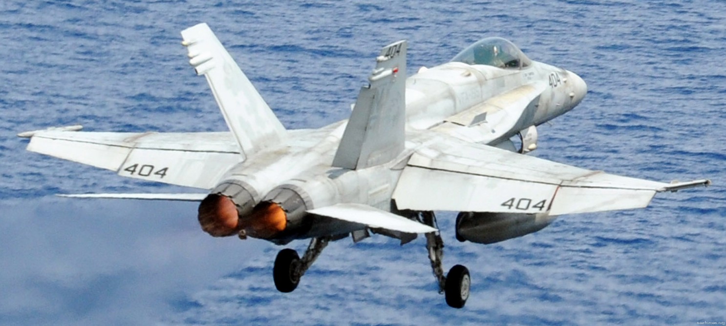 vfa-195 dambusters strike fighter squadron navy f/a-18c hornet carrier air wing cvw-5 uss george washington cvn-73 98